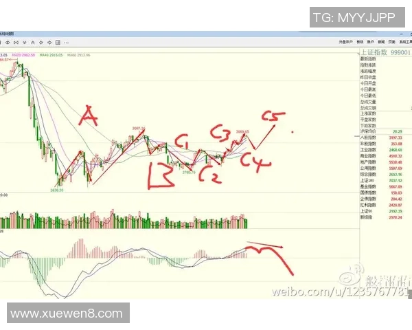 广州网球队防守策略深度解析与技术创新探讨