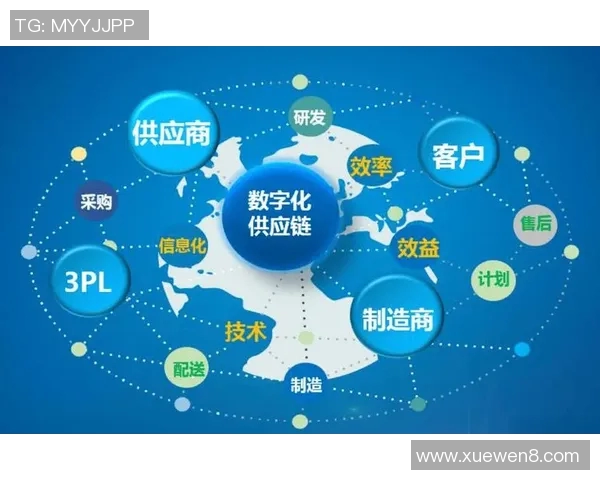 以物流发展为核心推动力探索数字化转型对现代供应链管理的深远影响